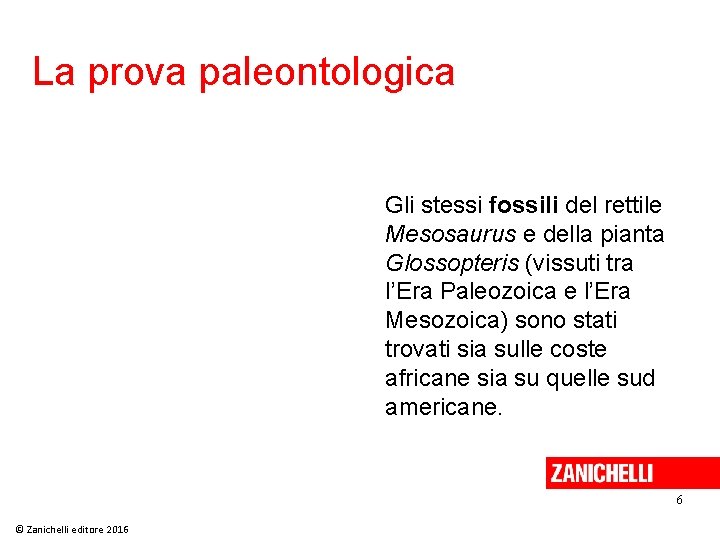 La prova paleontologica Gli stessi fossili del rettile Mesosaurus e della pianta Glossopteris (vissuti