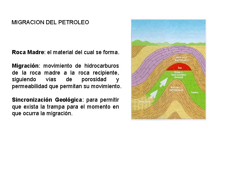 MIGRACION DEL PETROLEO Roca Madre: el material del cual se forma. Migración: movimiento de