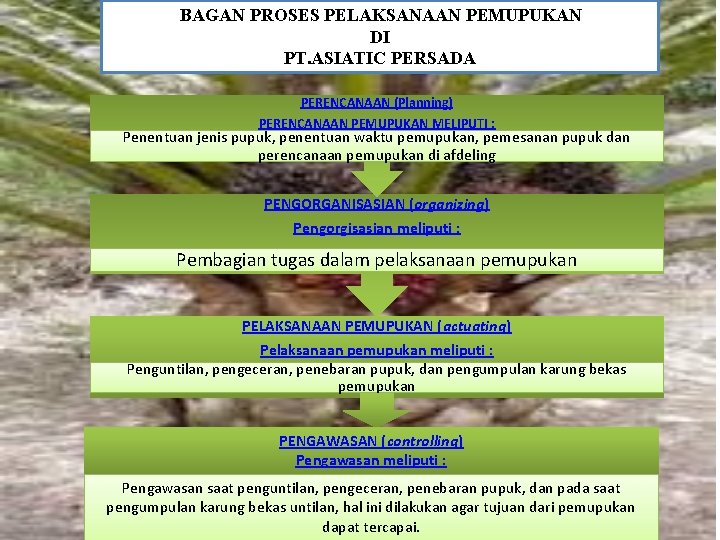 BAGAN PROSES PELAKSANAAN PEMUPUKAN DI PT. ASIATIC PERSADA PERENCANAAN (Planning) PERENCANAAN PEMUPUKAN MELIPUTI :