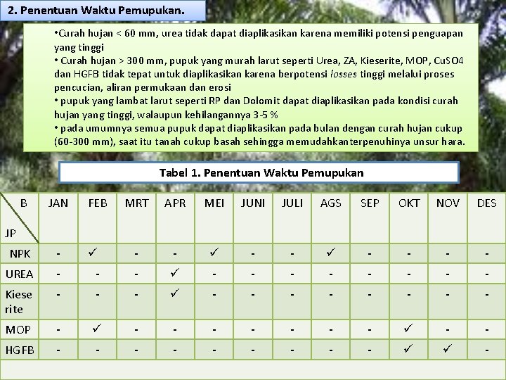 2. Penentuan Waktu Pemupukan. • Curah hujan < 60 mm, urea tidak dapat diaplikasikan