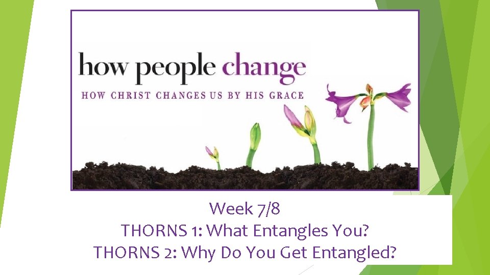 Week 7/8 THORNS 1: What Entangles You? THORNS 2: Why Do You Get Entangled?