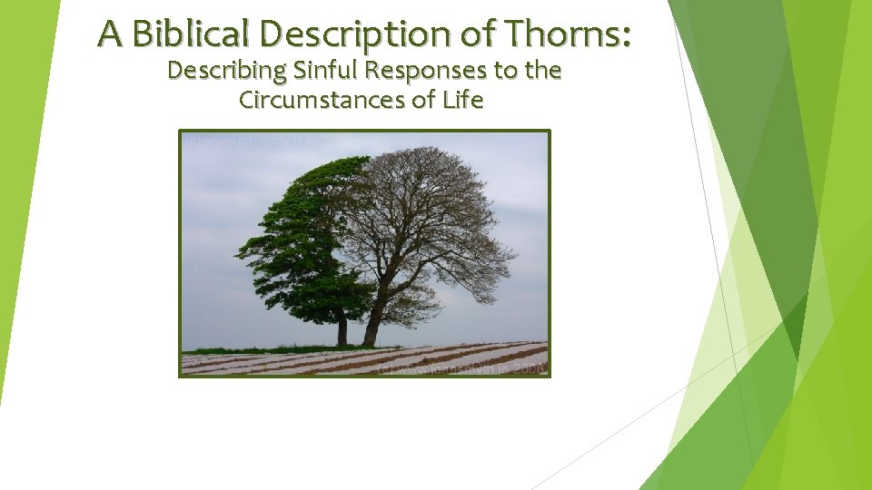 A Biblical Description of Thorns: Describing Sinful Responses to the Circumstances of Life 