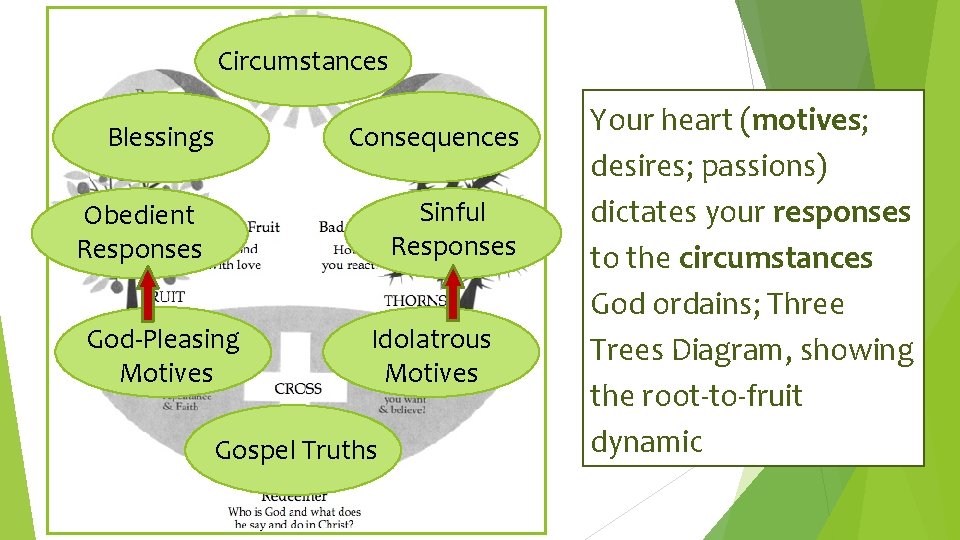 Circumstances Blessings Consequences Sinful Responses Obedient Responses God-Pleasing Motives Idolatrous Motives Gospel Truths Your