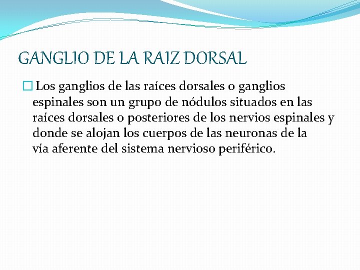 GANGLIO DE LA RAIZ DORSAL � Los ganglios de las raíces dorsales o ganglios