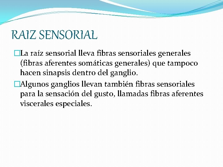 RAIZ SENSORIAL �La raíz sensorial lleva fibras sensoriales generales (fibras aferentes somáticas generales) que
