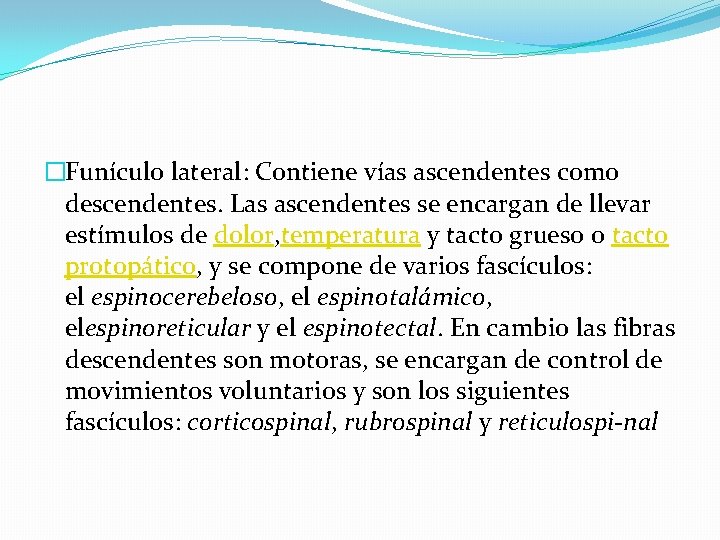 �Funículo lateral: Contiene vías ascendentes como descendentes. Las ascendentes se encargan de llevar estímulos