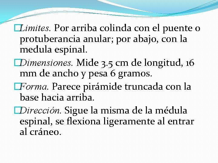 �Limites. Por arriba colinda con el puente o protuberancia anular; por abajo, con la