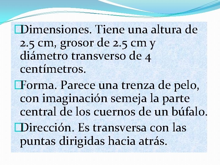 �Dimensiones. Tiene una altura de 2. 5 cm, grosor de 2. 5 cm y