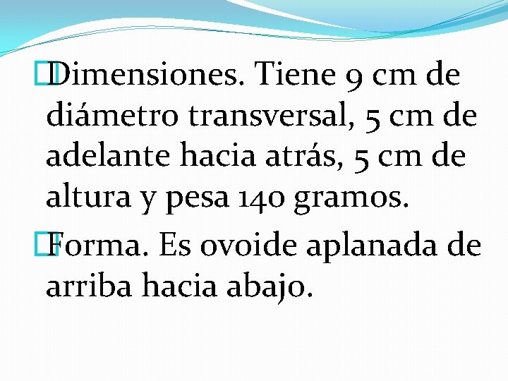 � Dimensiones. Tiene 9 cm de diámetro transversal, 5 cm de adelante hacia atrás,