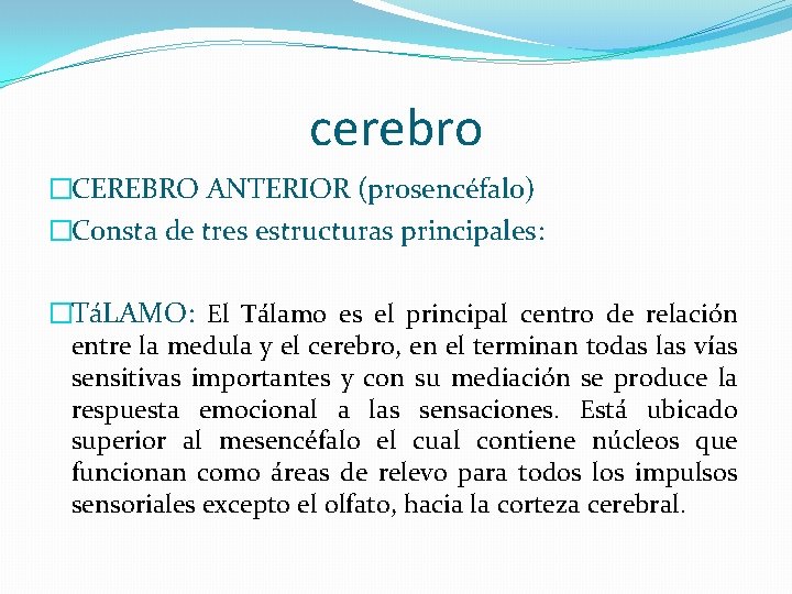 cerebro �CEREBRO ANTERIOR (prosencéfalo) �Consta de tres estructuras principales: �TáLAMO: El Tálamo es el