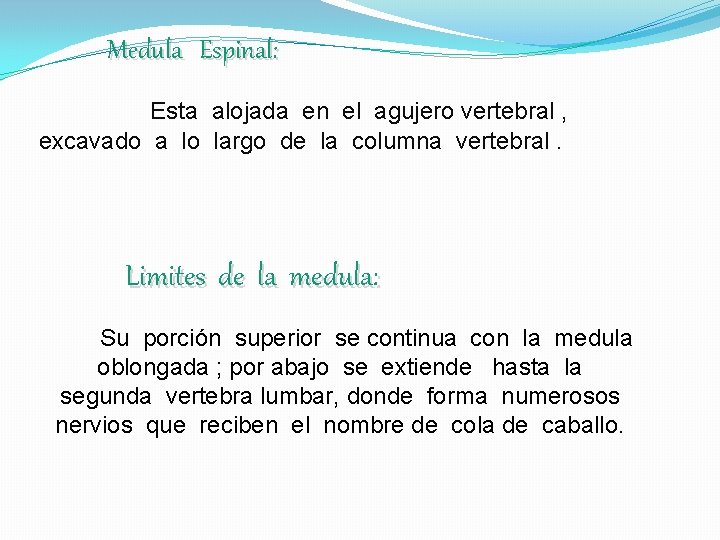 Medula Espinal: Esta alojada en el agujero vertebral , excavado a lo largo de