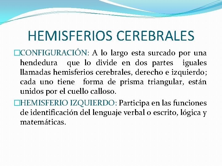 HEMISFERIOS CEREBRALES �CONFIGURACIÓN: A lo largo esta surcado por una hendedura que lo divide