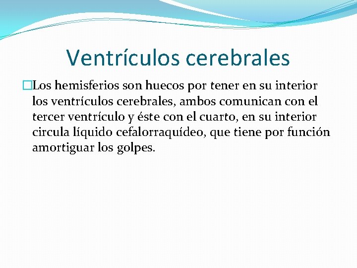 Ventrículos cerebrales �Los hemisferios son huecos por tener en su interior los ventrículos cerebrales,