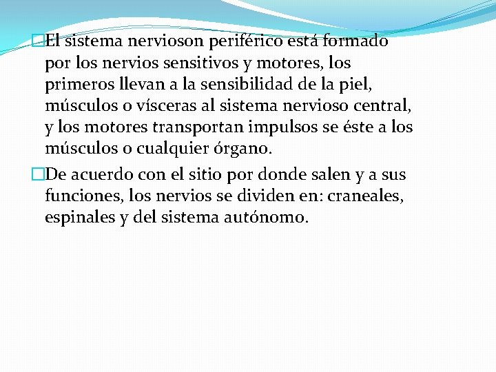 �El sistema nervioson periférico está formado por los nervios sensitivos y motores, los primeros