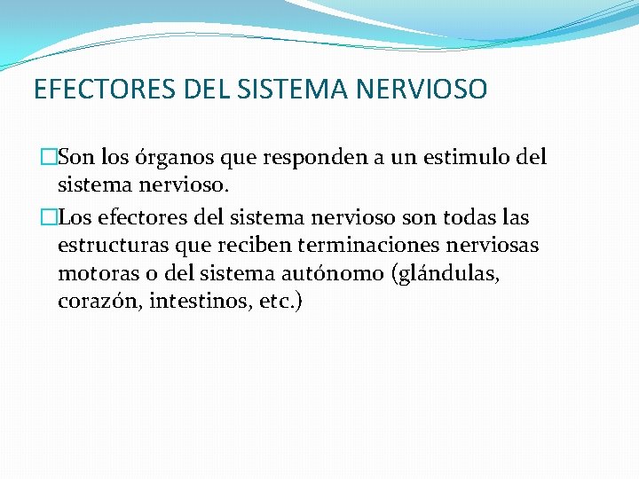 EFECTORES DEL SISTEMA NERVIOSO �Son los órganos que responden a un estimulo del sistema