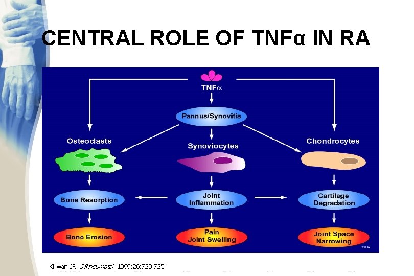 CENTRAL ROLE OF TNFα IN RA Kirwan JR. J Rheumatol. 1999; 26: 720 -725.