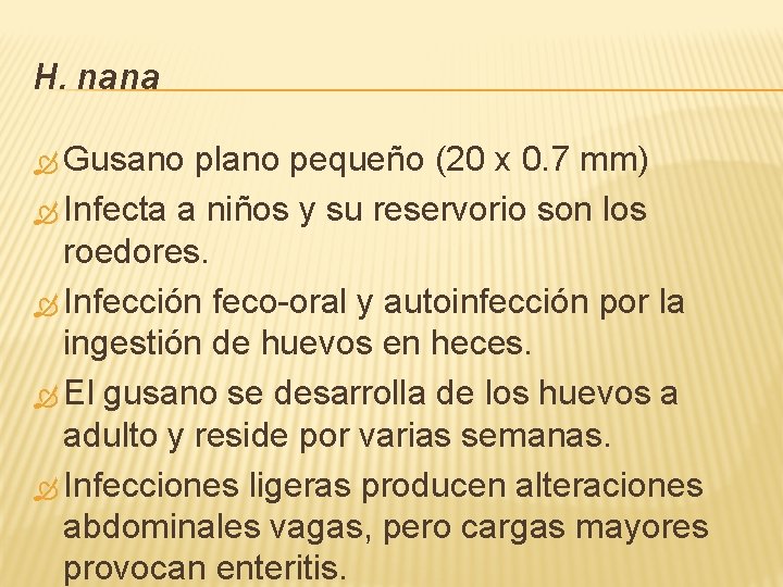 H. nana Gusano plano pequeño (20 x 0. 7 mm) Infecta a niños y