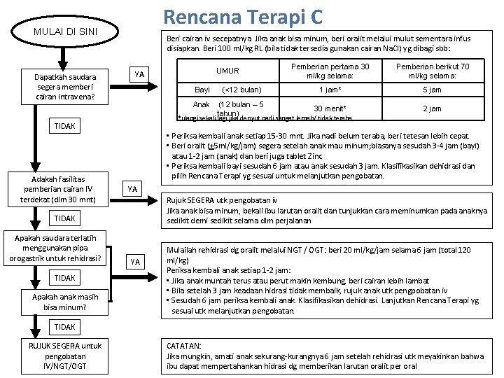 Rencana Terapi C MULAI DI SINI Dapatkah saudara segera memberi cairan intravena? Beri cairan