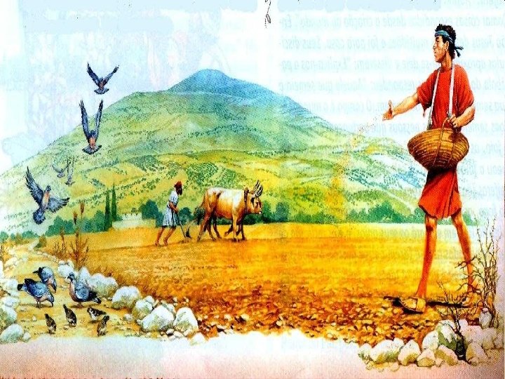 El Evangelio de hoy nos asegura, que a pesar del aparente fracaso, el éxito El Evangelio de hoy nos asegura, que a pesar del aparente fracaso, el éxito