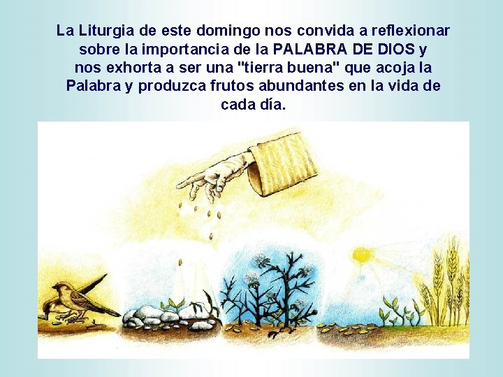 La Liturgia de este domingo nos convida a reflexionar sobre la importancia de la La Liturgia de este domingo nos convida a reflexionar sobre la importancia de la