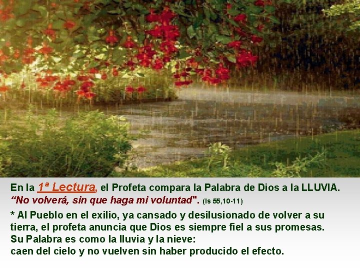 En la 1ª Lectura, el Profeta compara la Palabra de Dios a la LLUVIA. En la 1ª Lectura, el Profeta compara la Palabra de Dios a la LLUVIA.