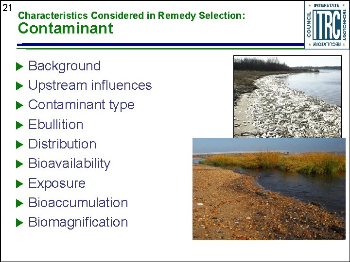 21 Characteristics Considered in Remedy Selection: Contaminant Background Upstream influences Contaminant type Ebullition Distribution