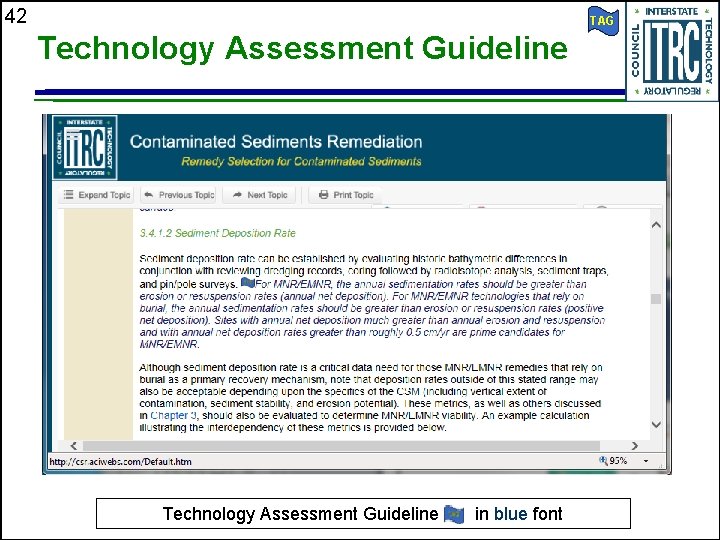 42 TAG Technology Assessment Guideline in blue font 