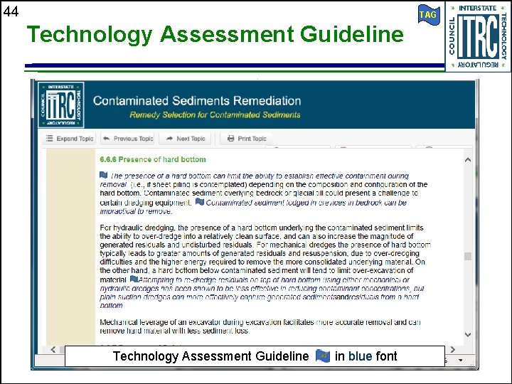 44 TAG Technology Assessment Guideline in blue font 