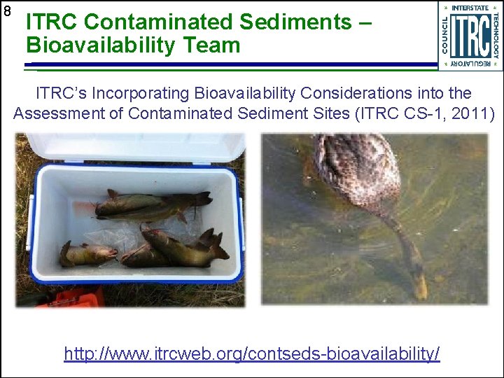 8 ITRC Contaminated Sediments – Bioavailability Team ITRC’s Incorporating Bioavailability Considerations into the Assessment