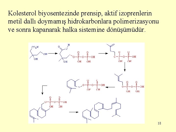 Kolesterol biyosentezinde prensip, aktif izoprenlerin metil dallı doymamış hidrokarbonlara polimerizasyonu ve sonra kapanarak halka