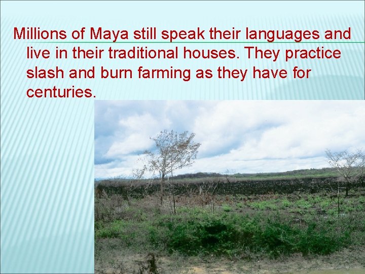 Millions of Maya still speak their languages and live in their traditional houses. They