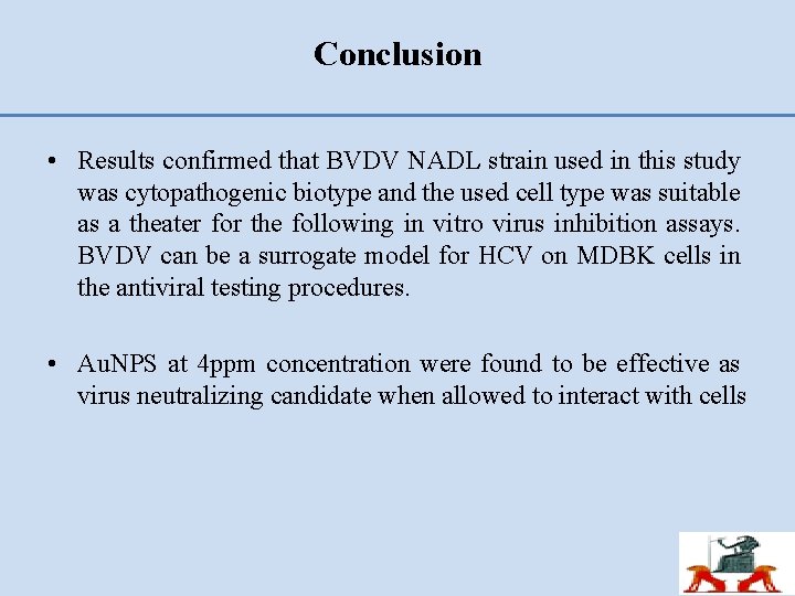 Conclusion • Results confirmed that BVDV NADL strain used in this study was cytopathogenic