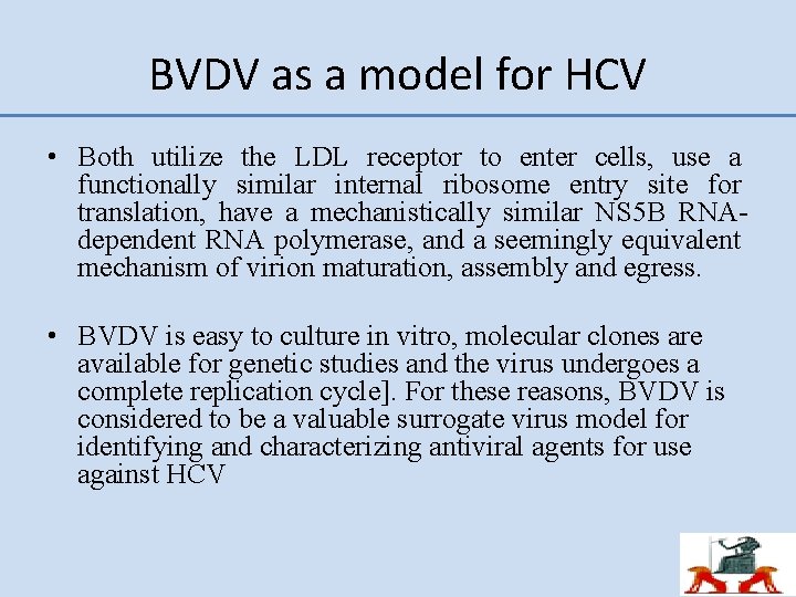 BVDV as a model for HCV • Both utilize the LDL receptor to enter