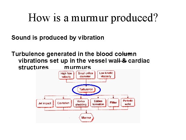 How is a murmur produced? Sound is produced by vibration Turbulence generated in the