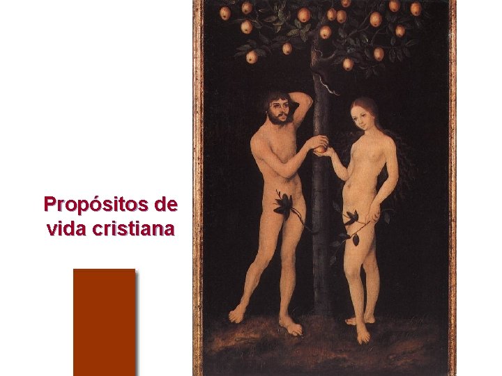 Propósitos de vida cristiana 