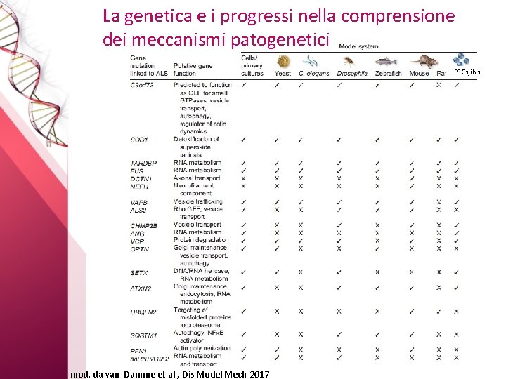 La genetica e i progressi nella comprensione dei meccanismi patogenetici i. PSCs, i. Ns