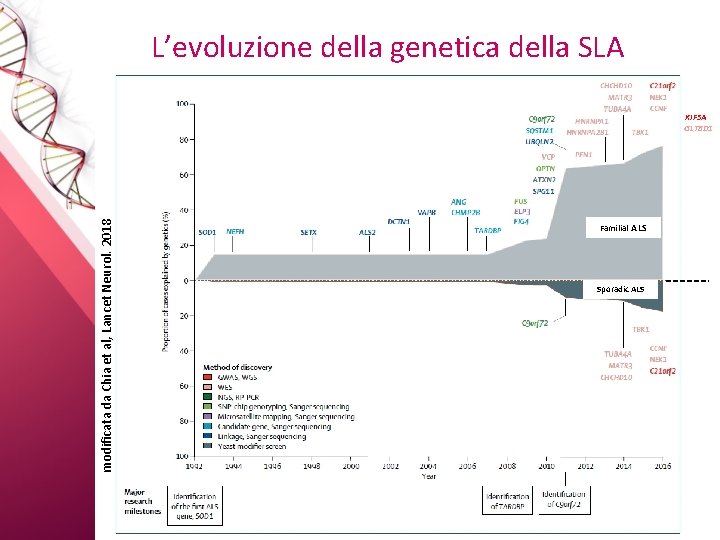 L’evoluzione della genetica della SLA modificata da Chia et al, Lancet Neurol. 2018 KIF