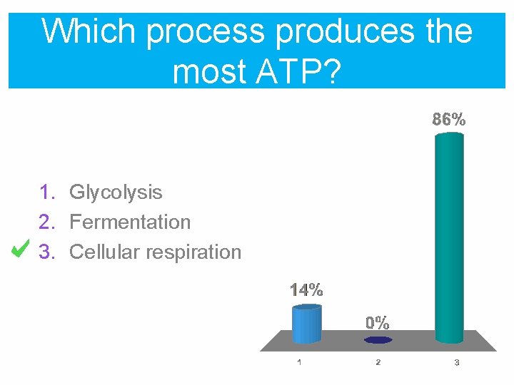 Which process produces the most ATP? 1. Glycolysis 2. Fermentation 3. Cellular respiration 