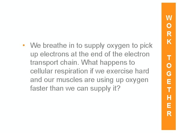  • We breathe in to supply oxygen to pick up electrons at the