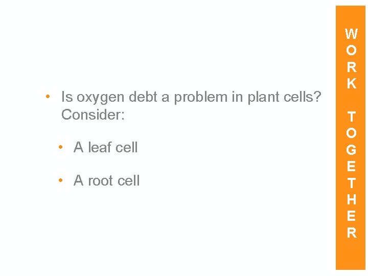  • Is oxygen debt a problem in plant cells? Consider: • A leaf