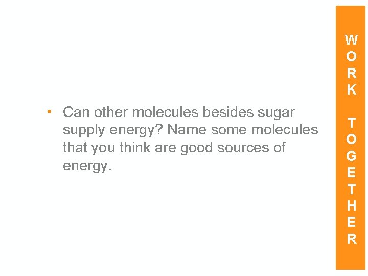 W O R K • Can other molecules besides sugar supply energy? Name some