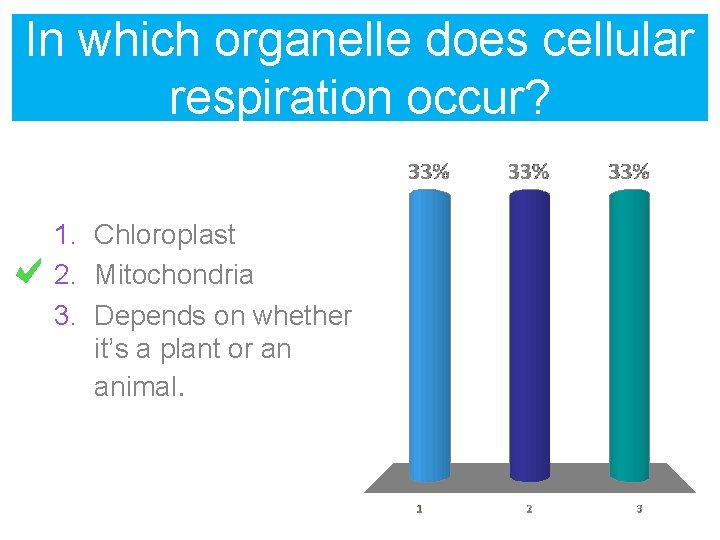 In which organelle does cellular respiration occur? 1. Chloroplast 2. Mitochondria 3. Depends on