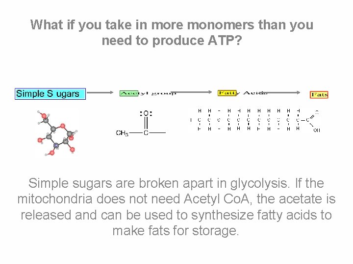 What if you take in more monomers than you need to produce ATP? Simple