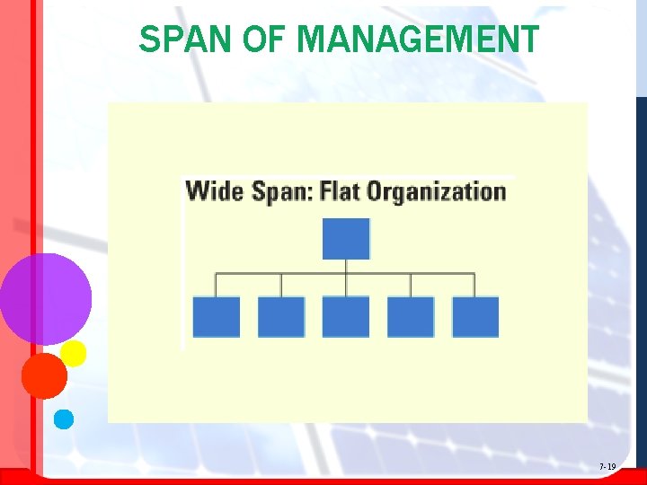 SPAN OF MANAGEMENT 7 -19 