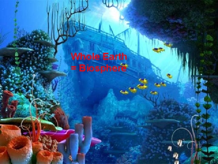 Whole Earth = Biosphere 