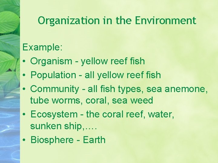 Organization in the Environment Example: • Organism - yellow reef fish • Population -