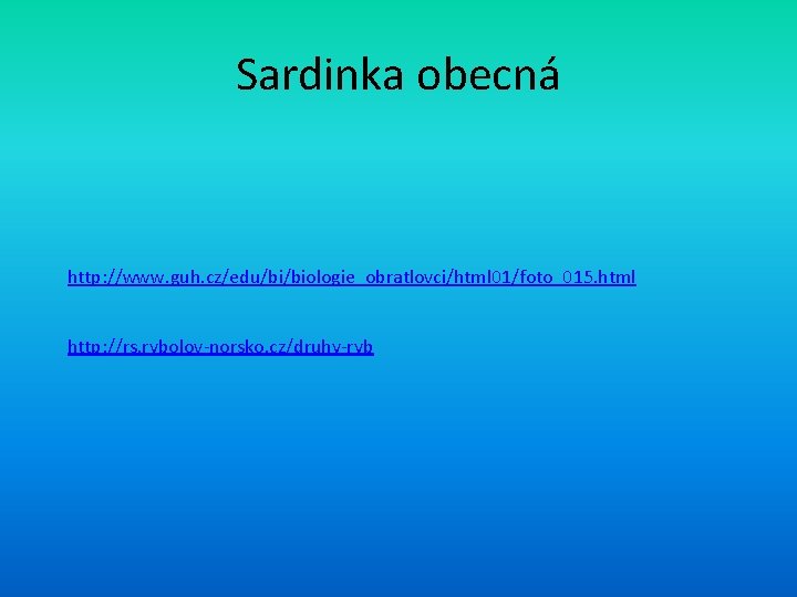 Sardinka obecná http: //www. guh. cz/edu/bi/biologie_obratlovci/html 01/foto_015. html http: //rs. rybolov-norsko. cz/druhy-ryb 