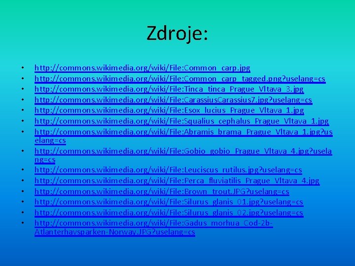 Zdroje: • • • • http: //commons. wikimedia. org/wiki/File: Common_carp. jpg http: //commons. wikimedia.