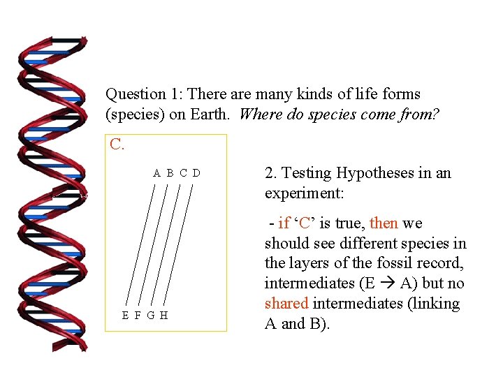 Question 1: There are many kinds of life forms (species) on Earth. Where do