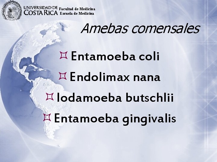 Facultad de Medicina Escuela de Medicina Amebas comensales Entamoeba coli Endolimax nana Iodamoeba butschlii